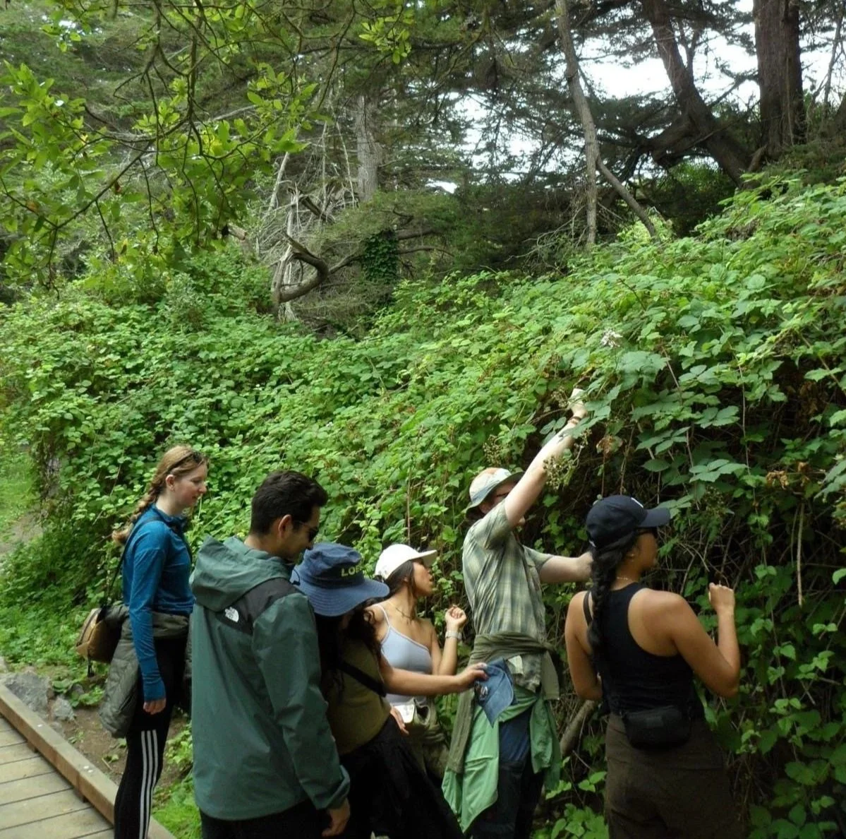 Loess Summit Seeker community
